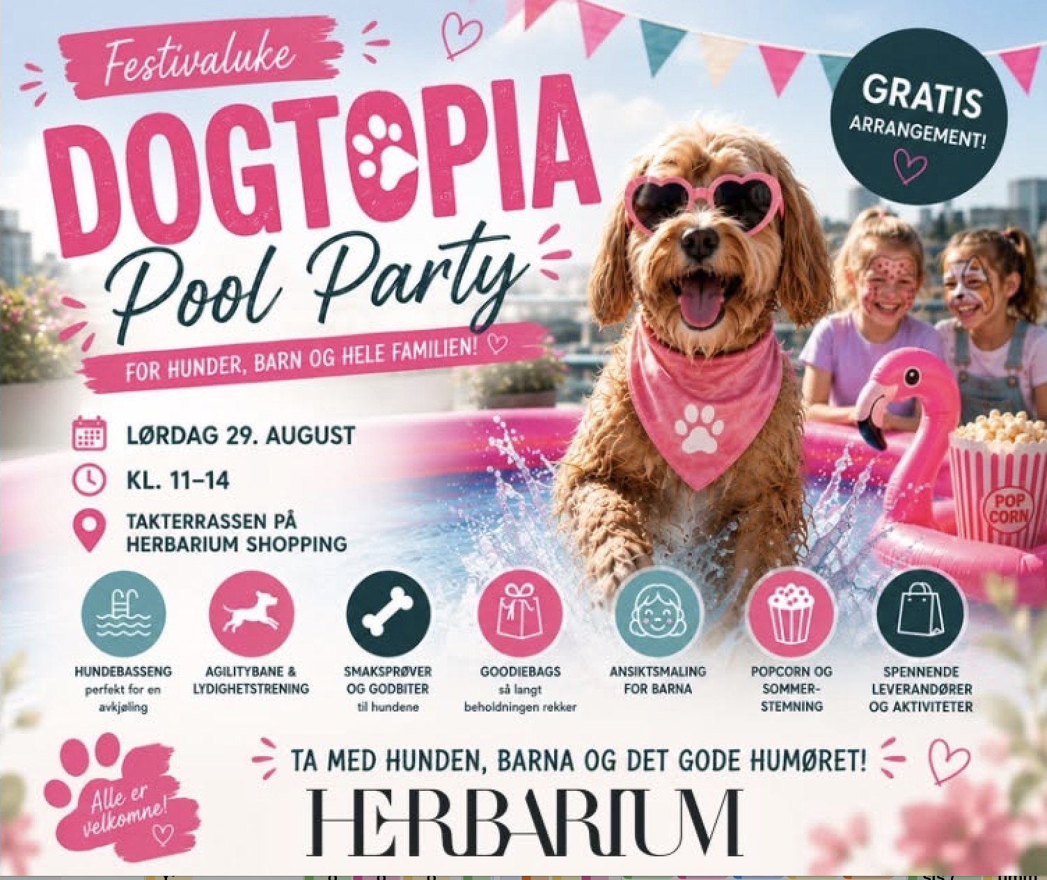Dogtopia Pool Party